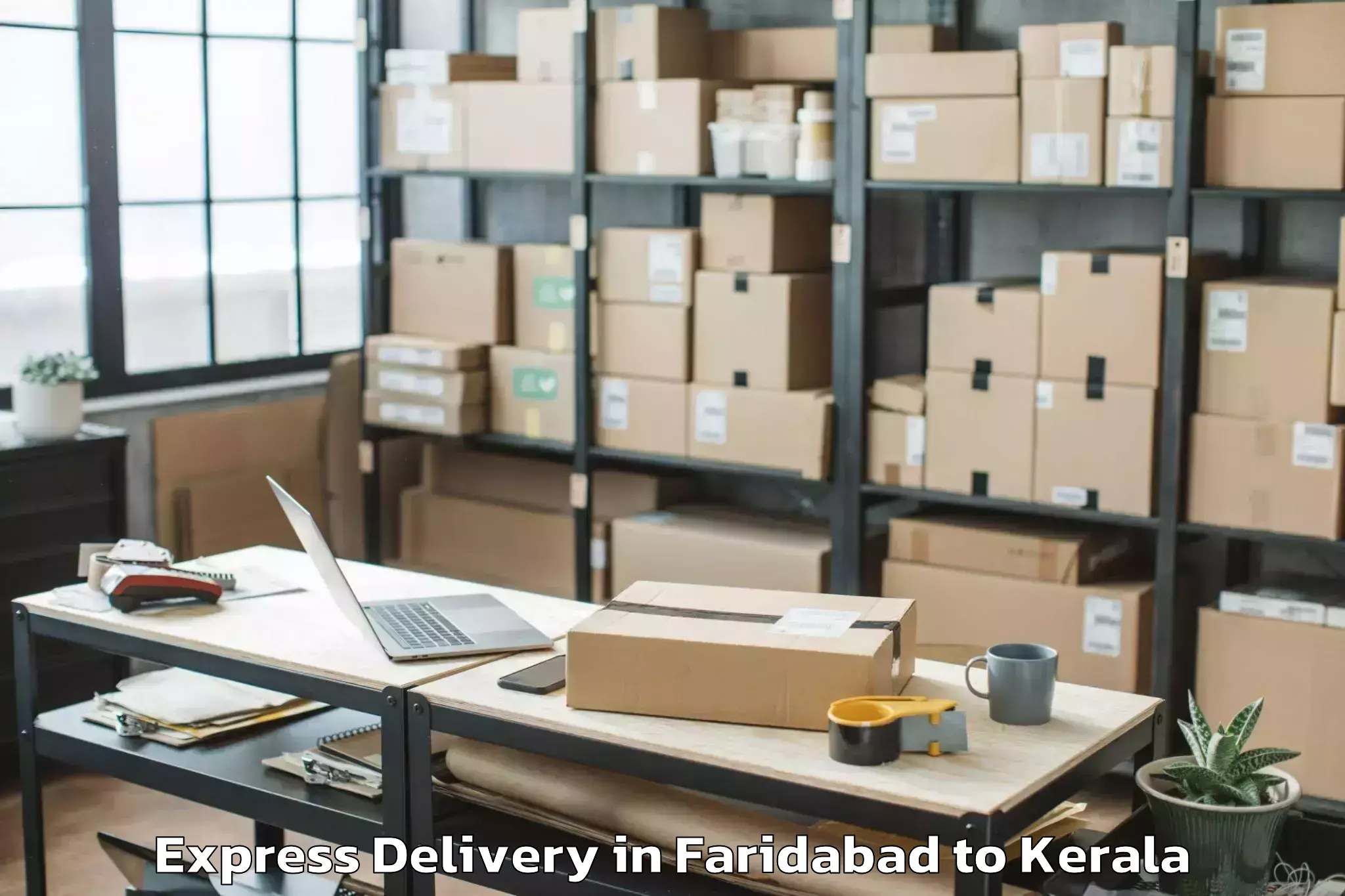 Easy Faridabad to Chavassery Express Delivery Booking